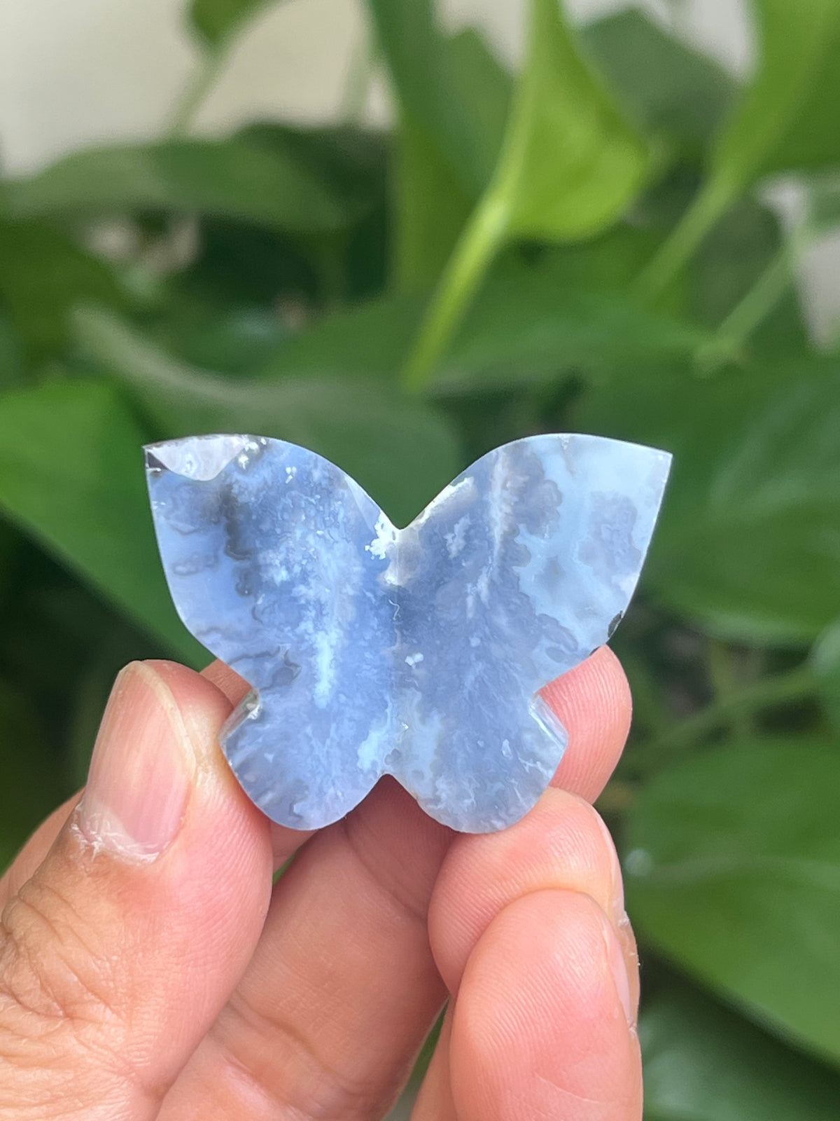 Blue Plume Agate 3D Butterfly: AW