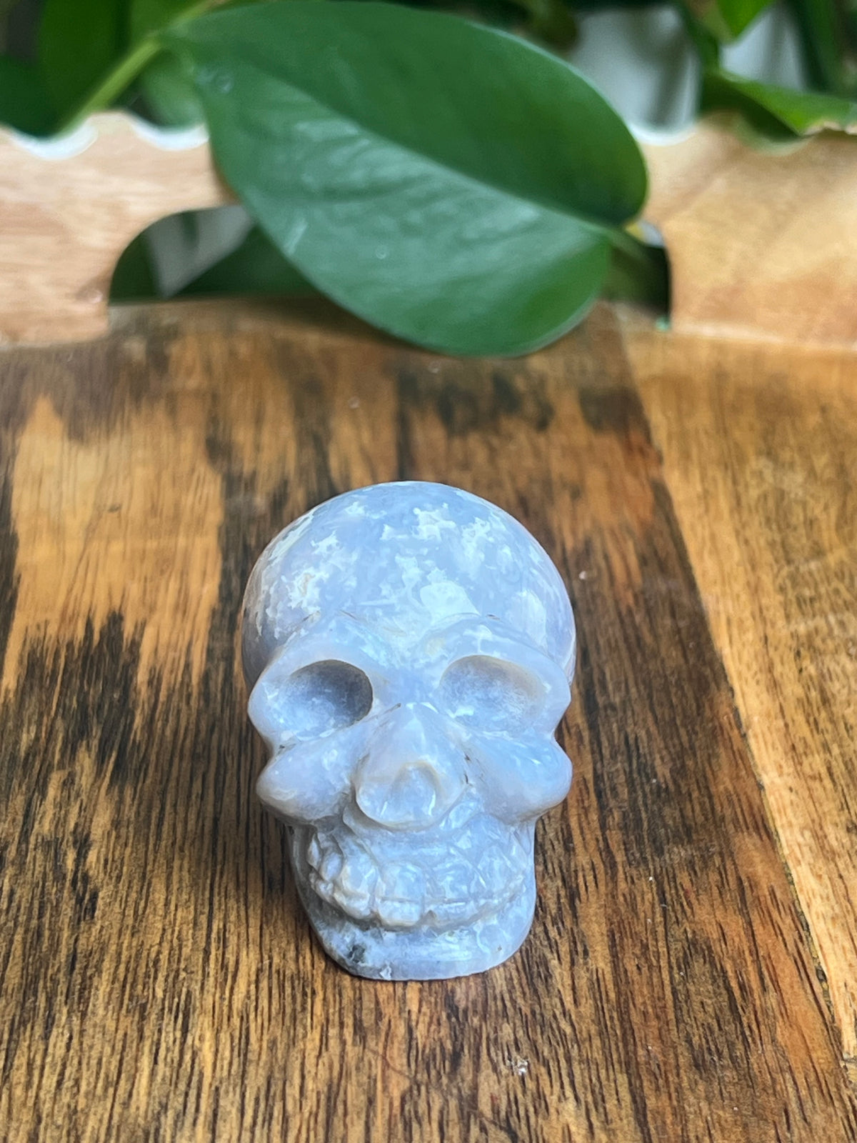 Blue Plume Agate Skull: BA