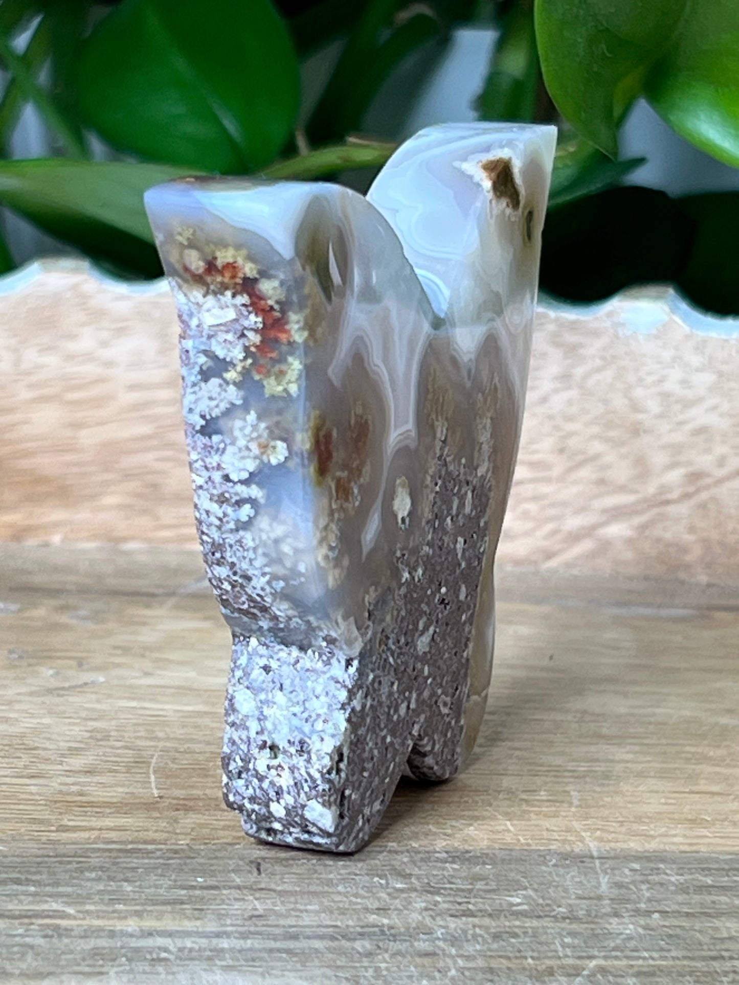 Scenic Moss Agate Butterfly