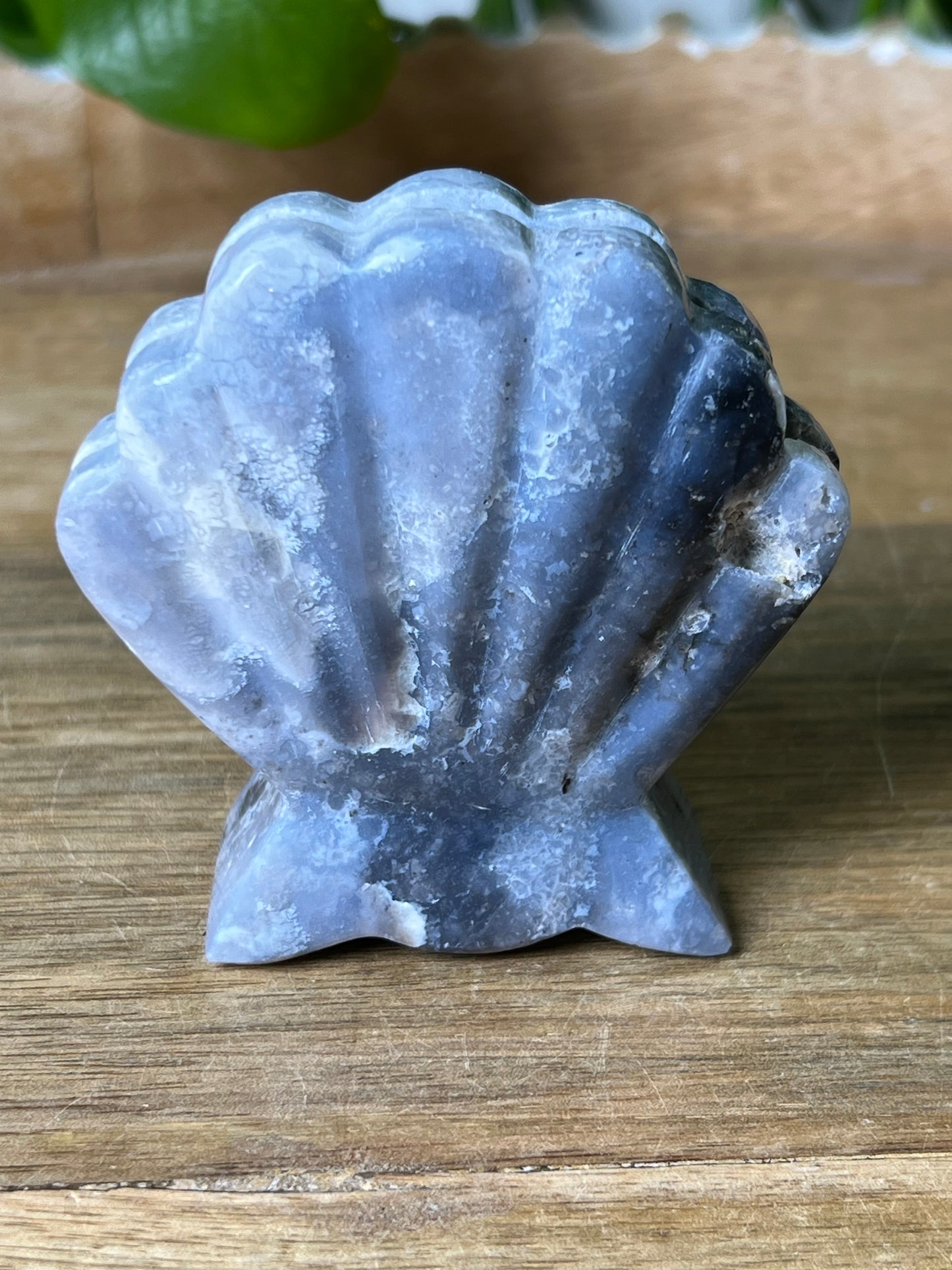 Blue Plume Agate Shell
