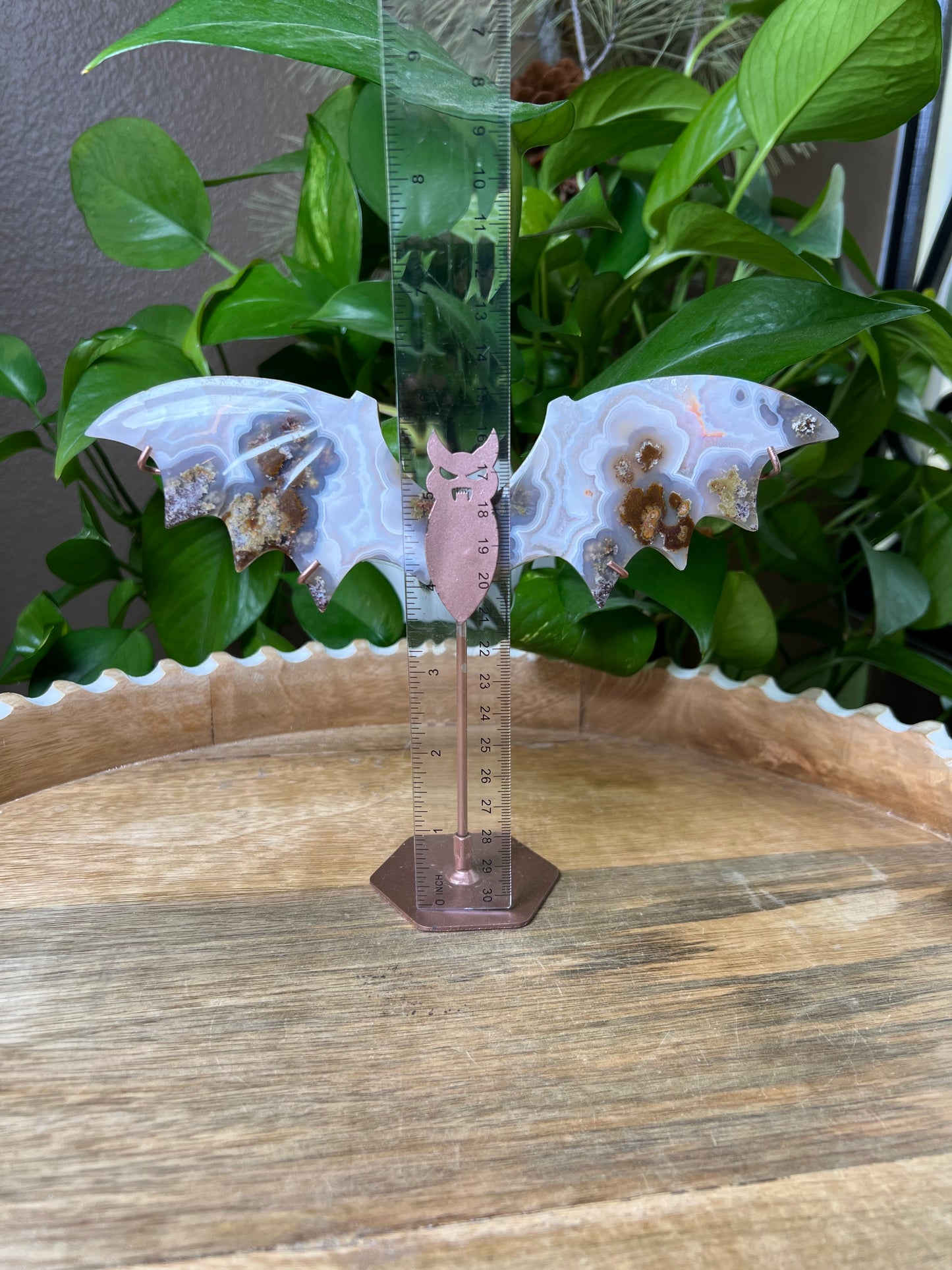 Scenic Moss Agate Bat Wings: RI