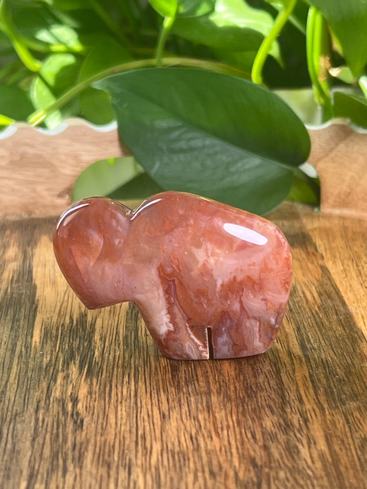 Carnelian Mini Buffalo: BC