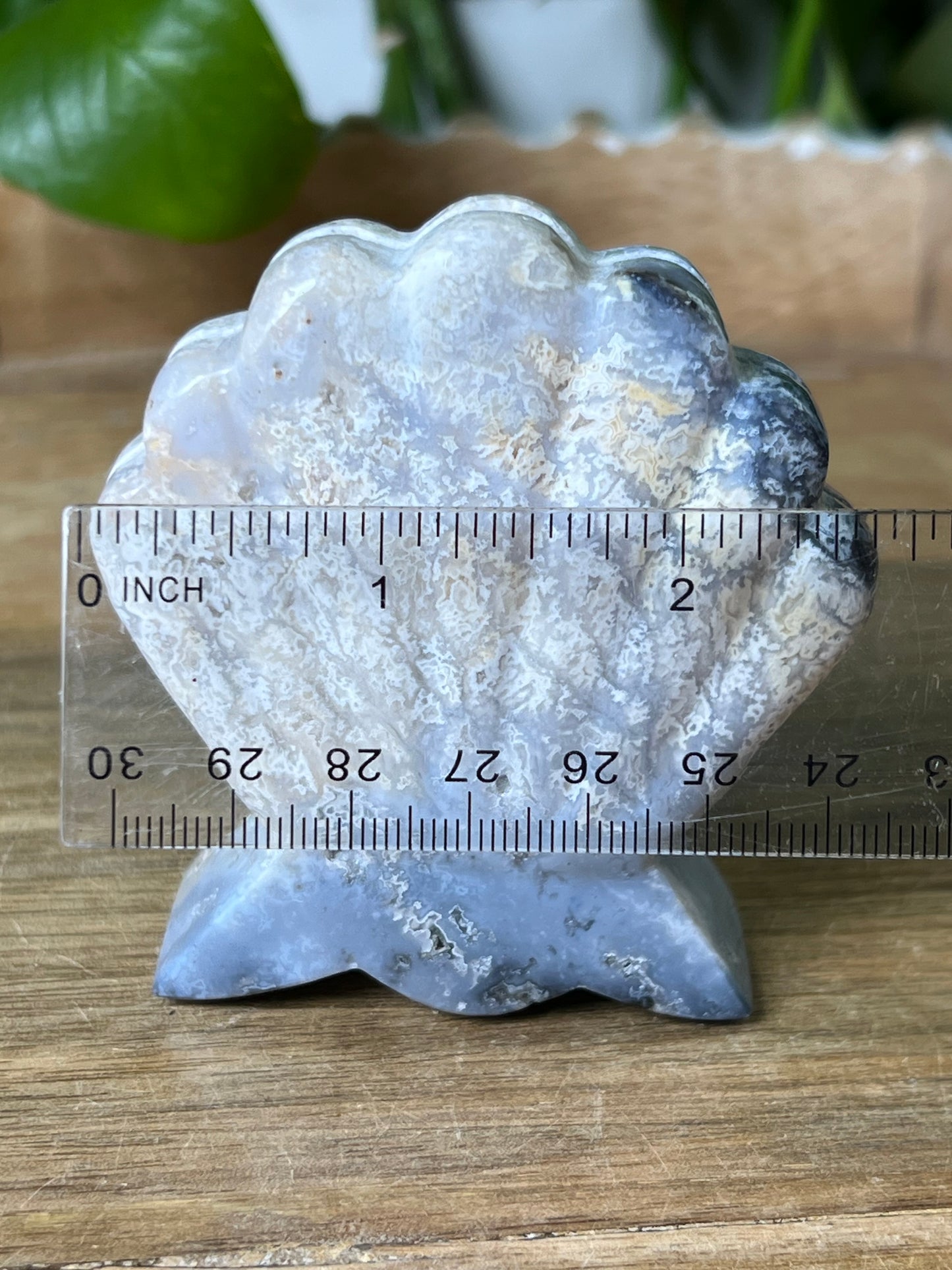 Blue Plume Agate Shell