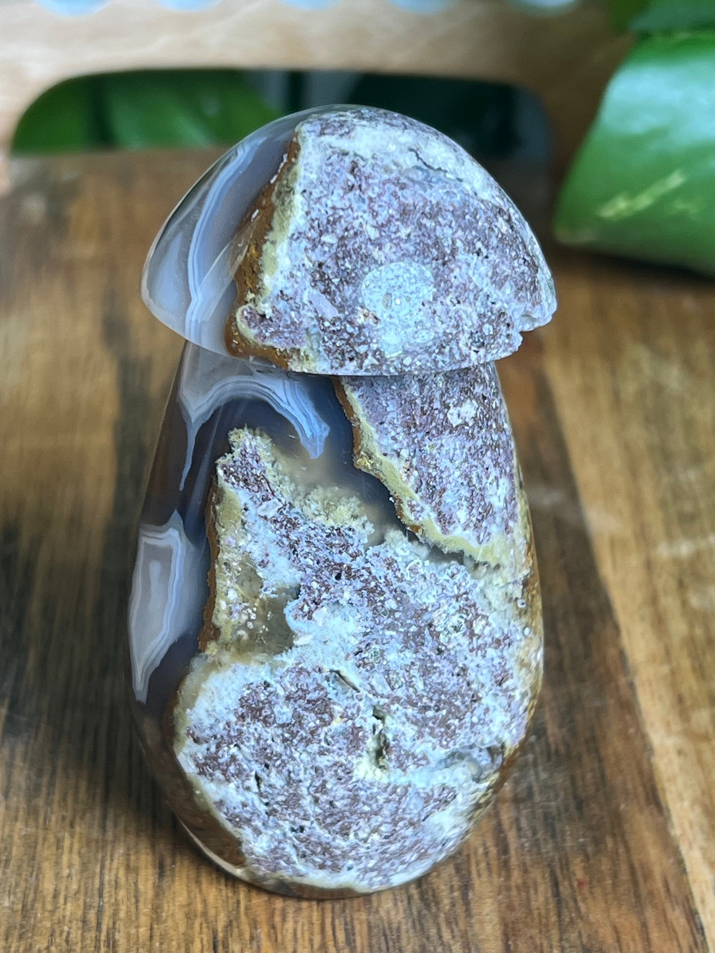 Scenic Moss Agate Mushroom