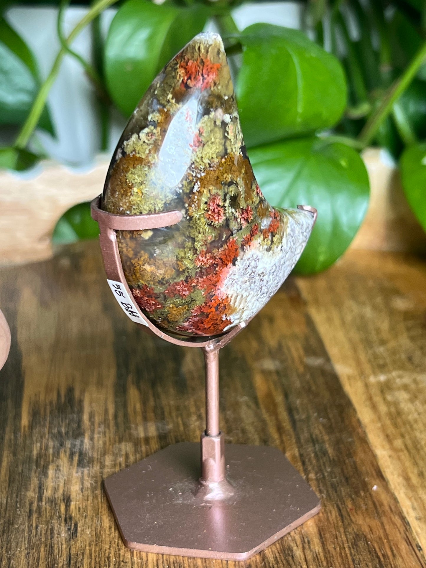 Scenic Moss Agate Moon