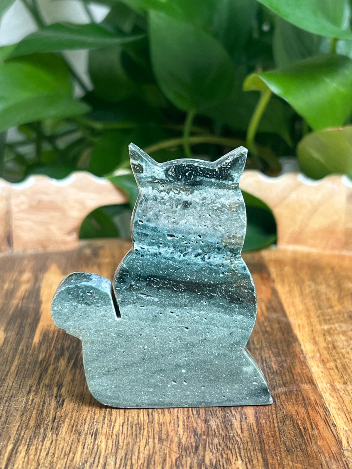 Blue Green Jasper Cat: HC