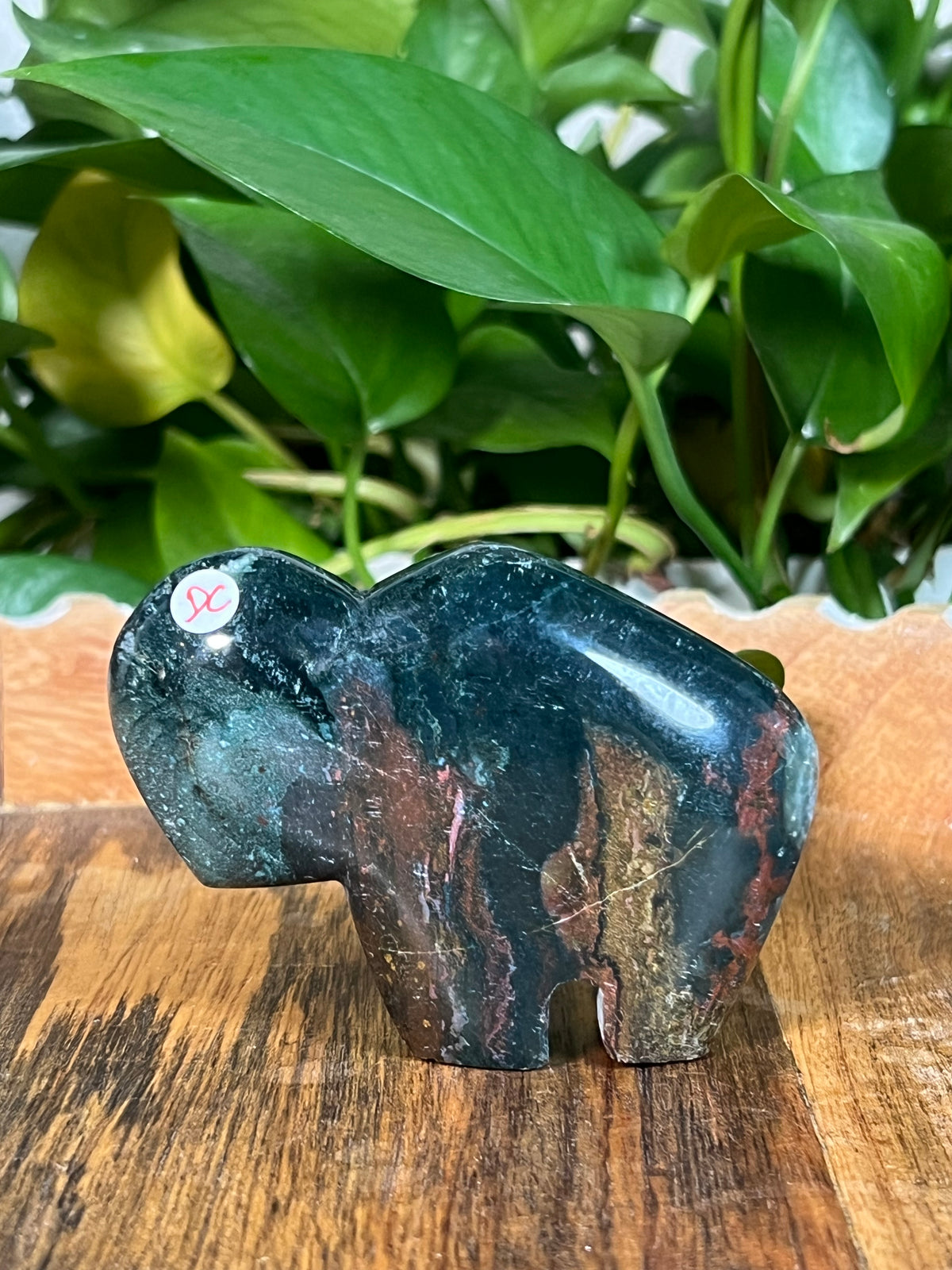Blue Green Jasper Buffalos