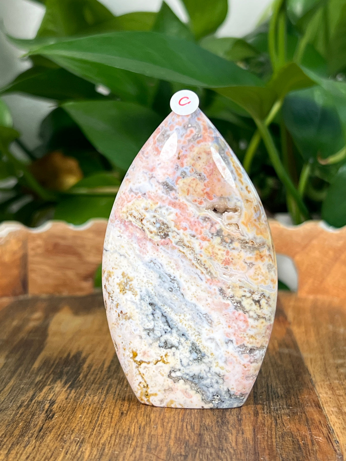 Sea Jasper Flames