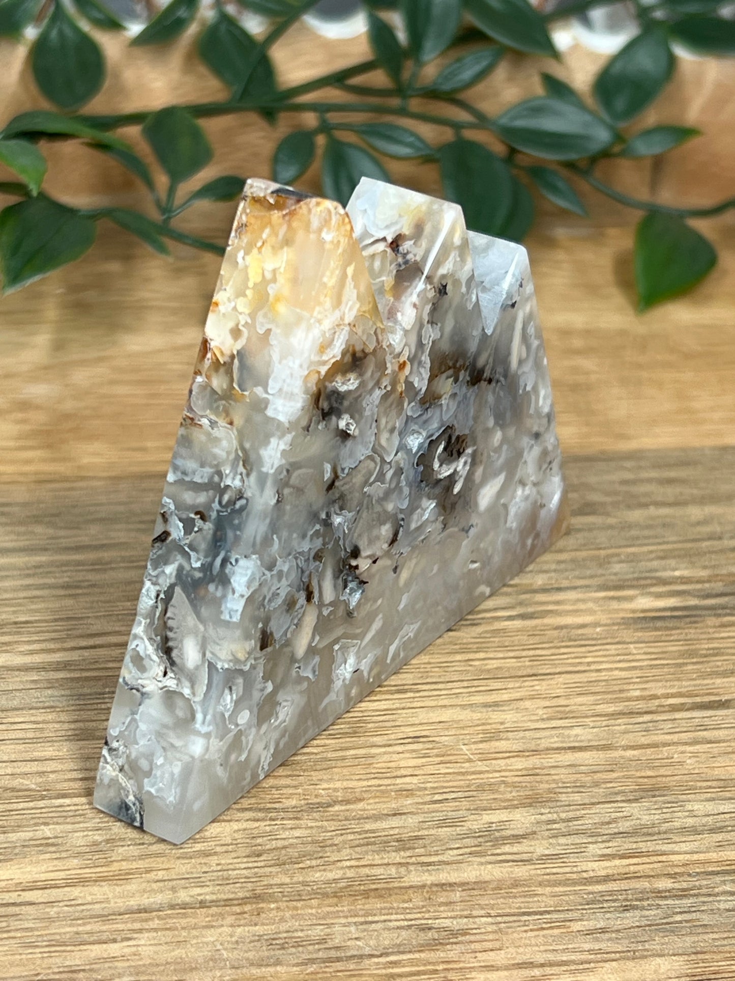 Dendritic Tiger Agate Mountain