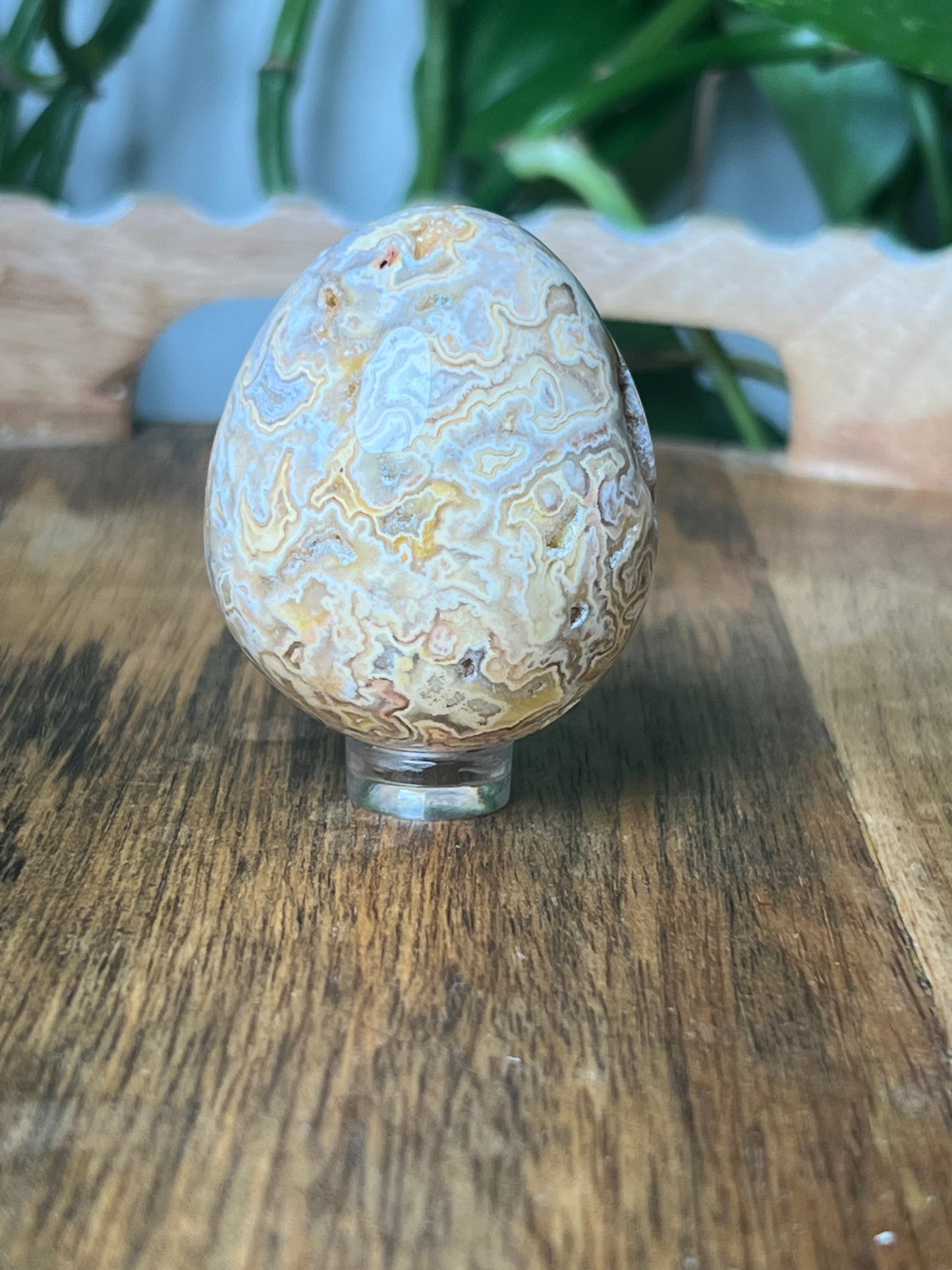 Crazy Lace Agate Egg