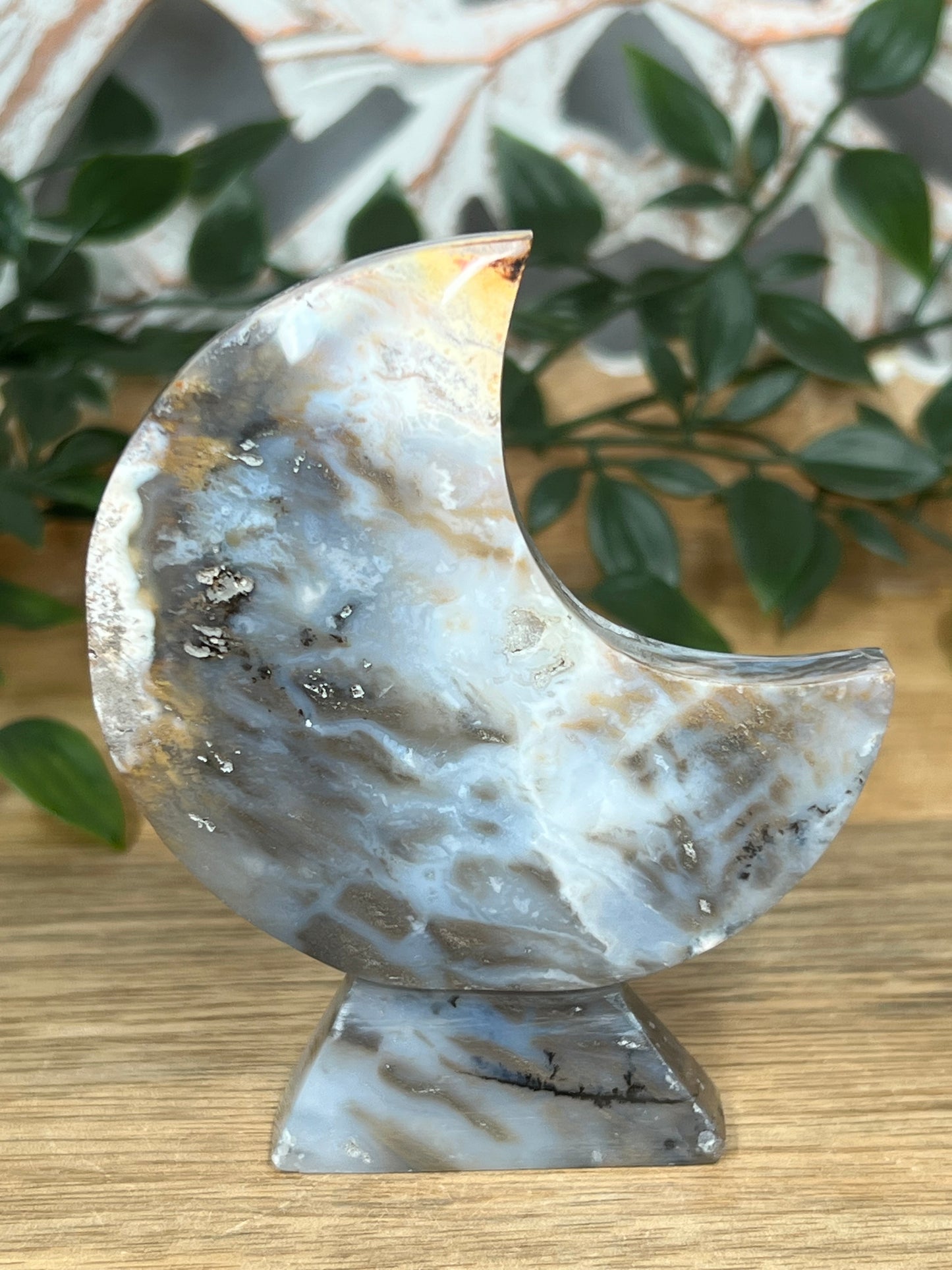 Dendritic Tiger Agate Moon