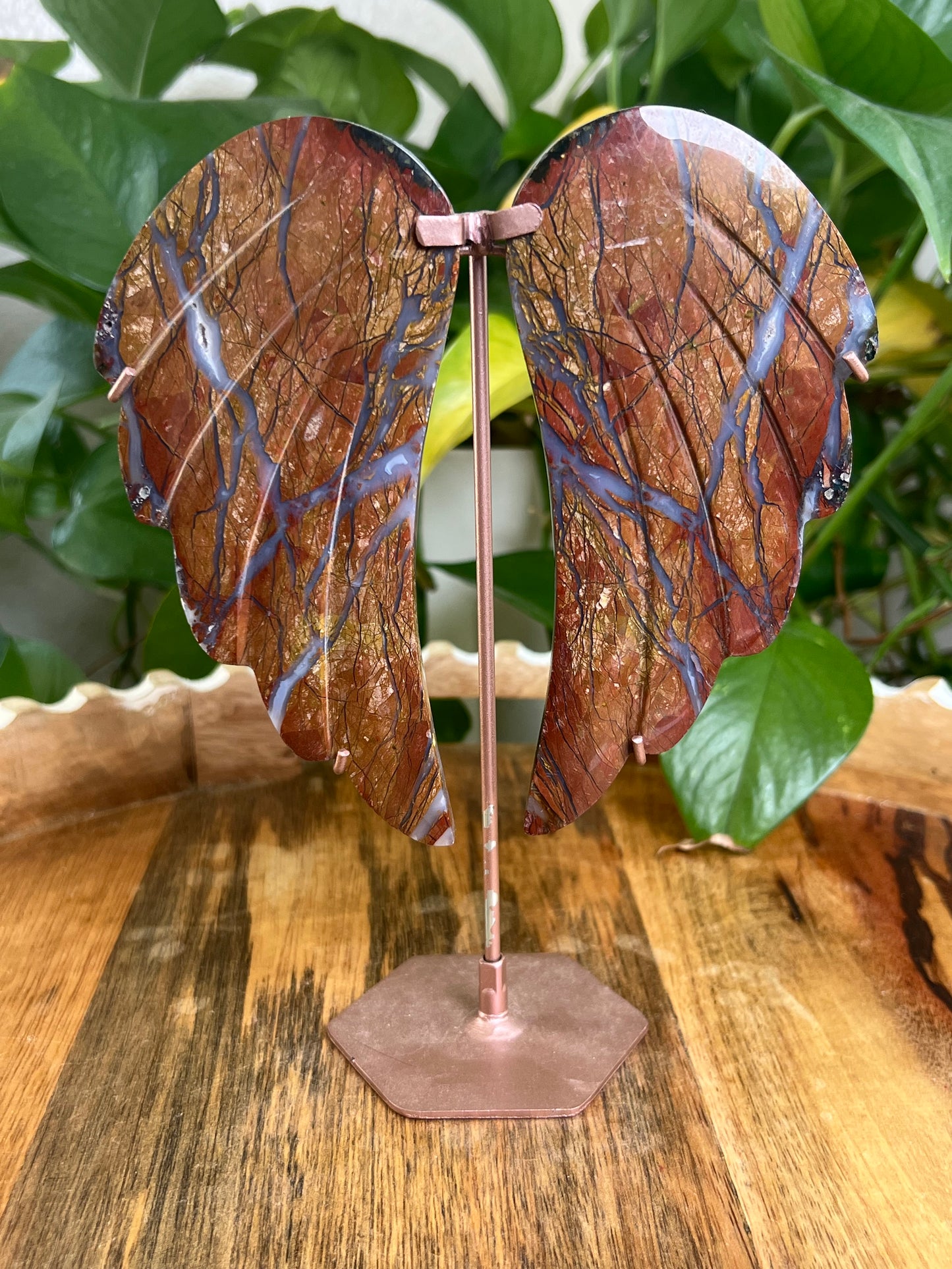 Brecciated Jasper Wings BA