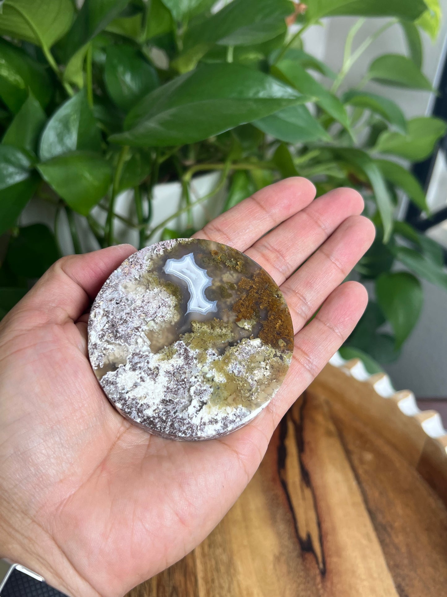 Scenic Moss Agate Coaster: AA