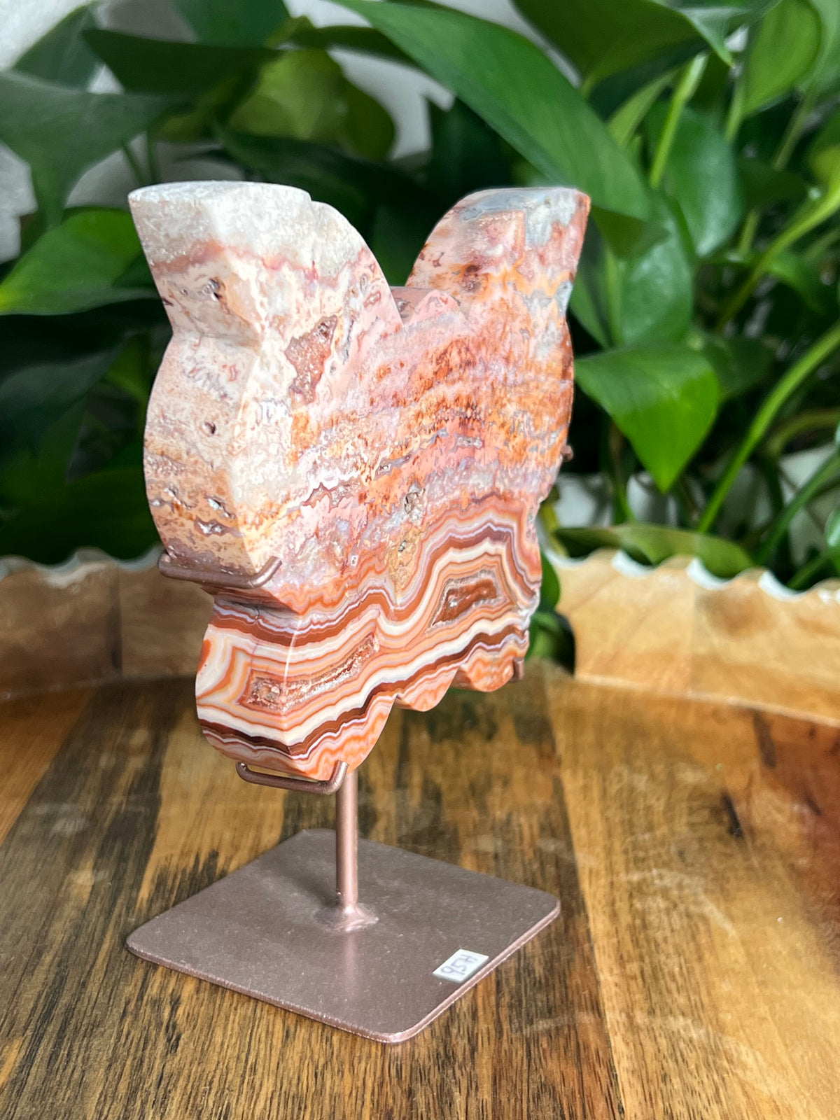 Crazy Lace Agate Butterfly: H