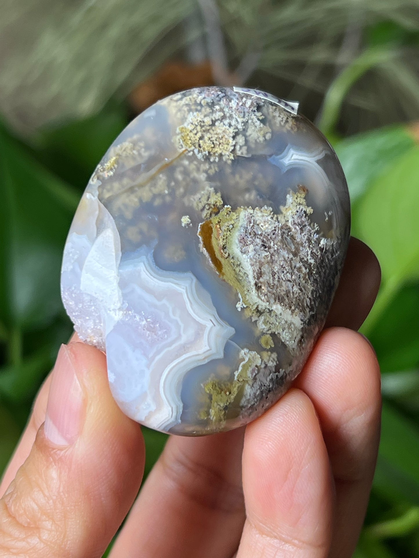 Scenic Moss Agate Palmstone