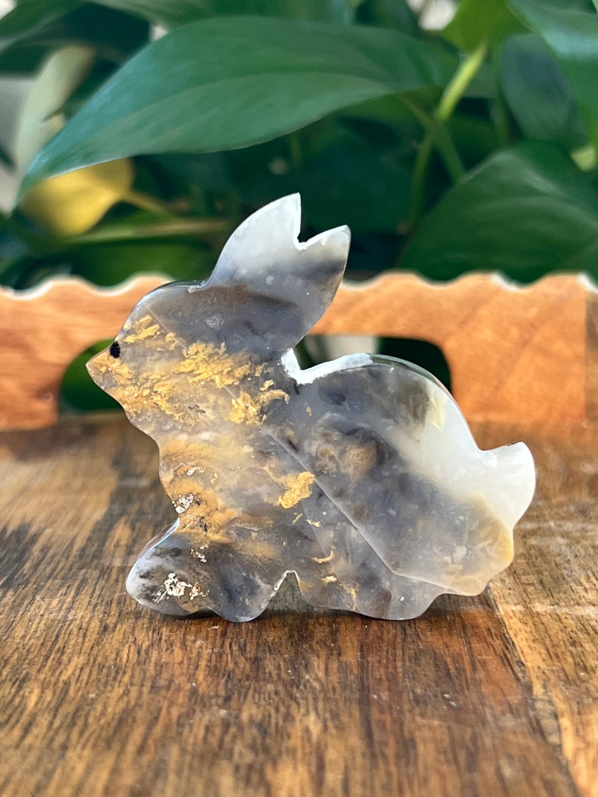 Dendritic Tiger Agate Bunnies