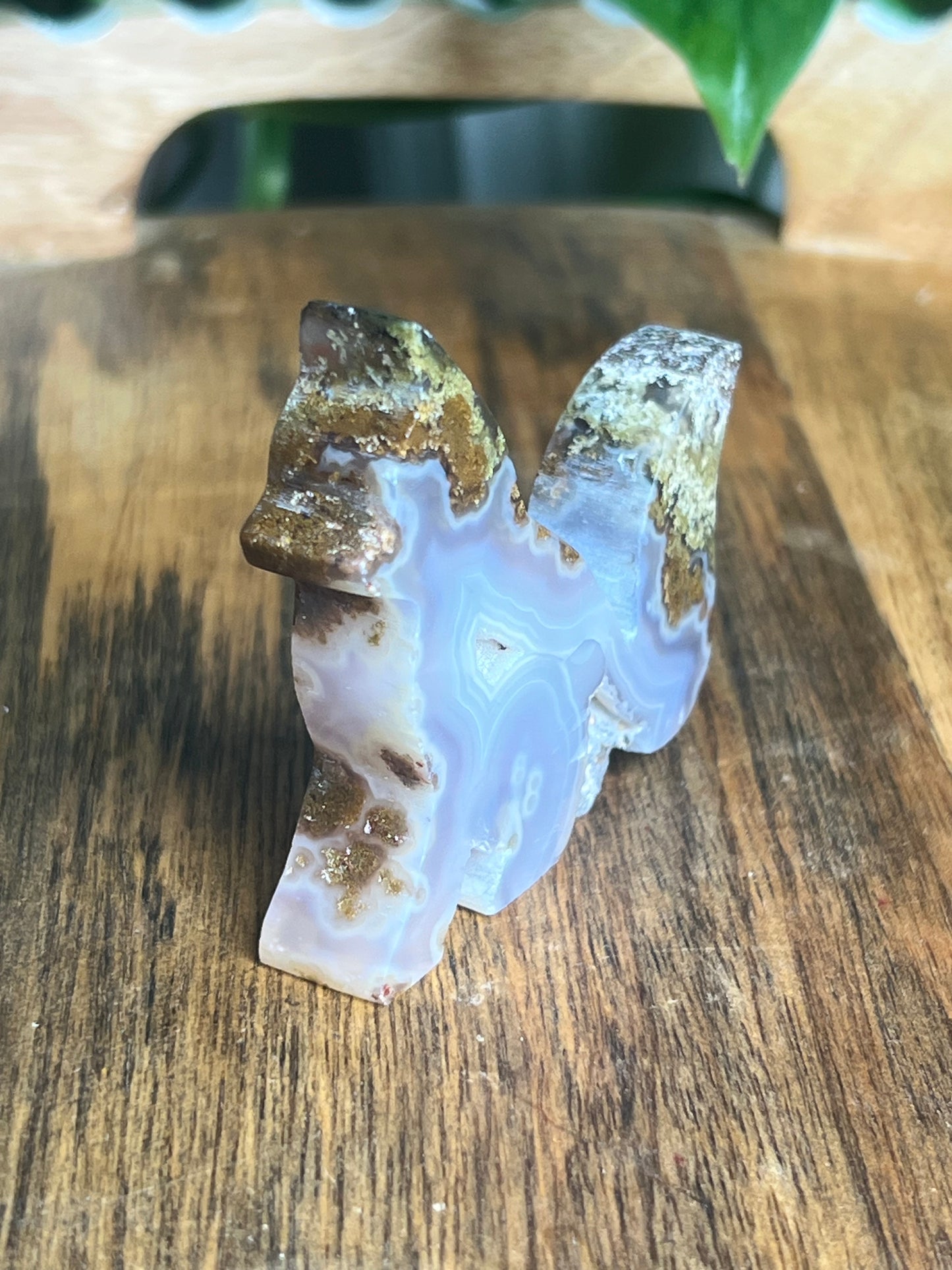 Scenic Moss Agate Fox PZ