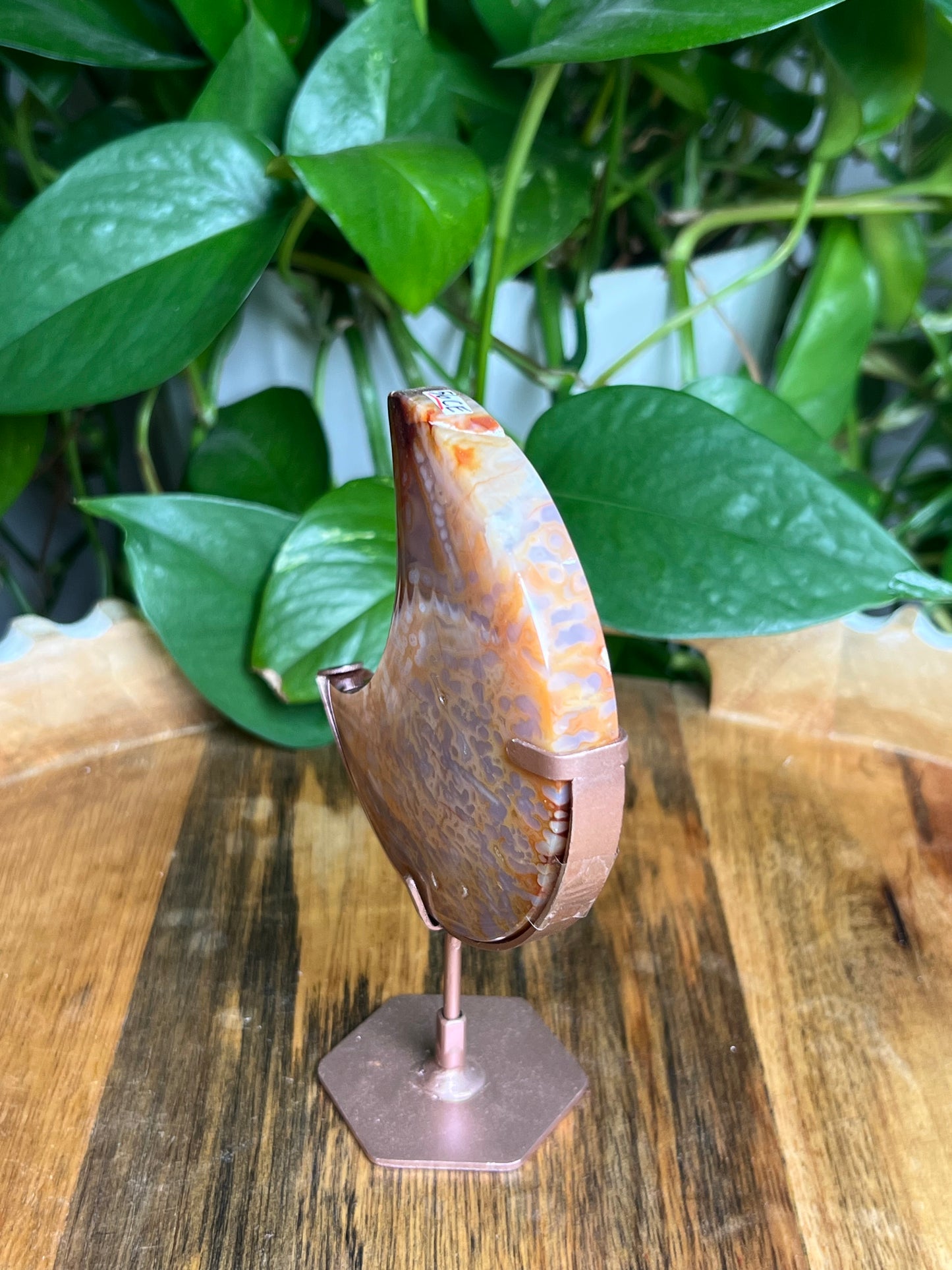 Carnelian Moon: CE