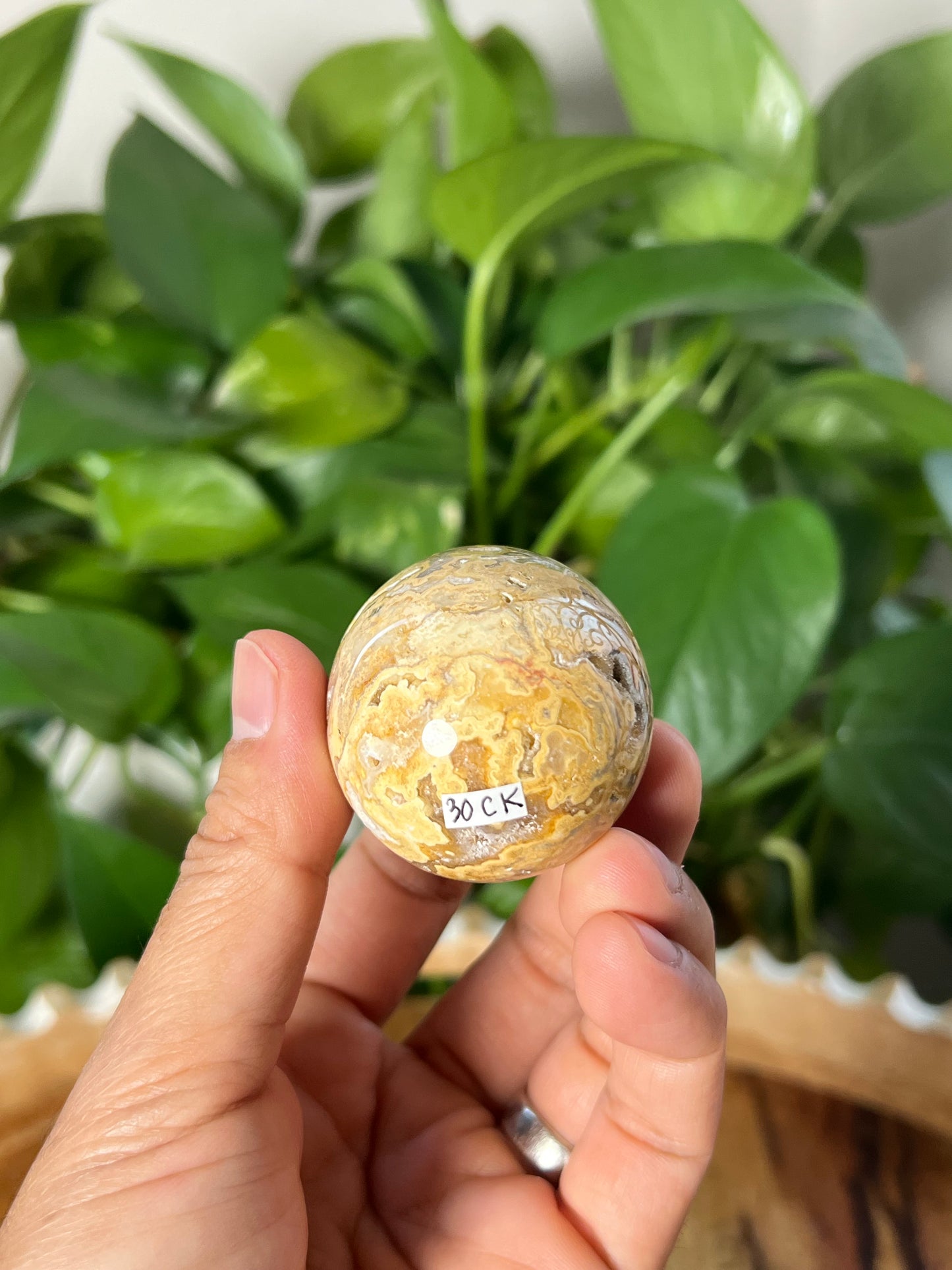 Crazy Lace Agate Egg