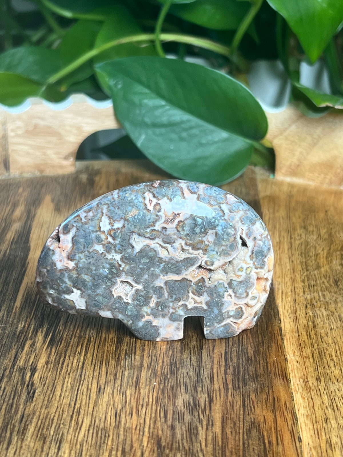 Marcasite Bear: TE