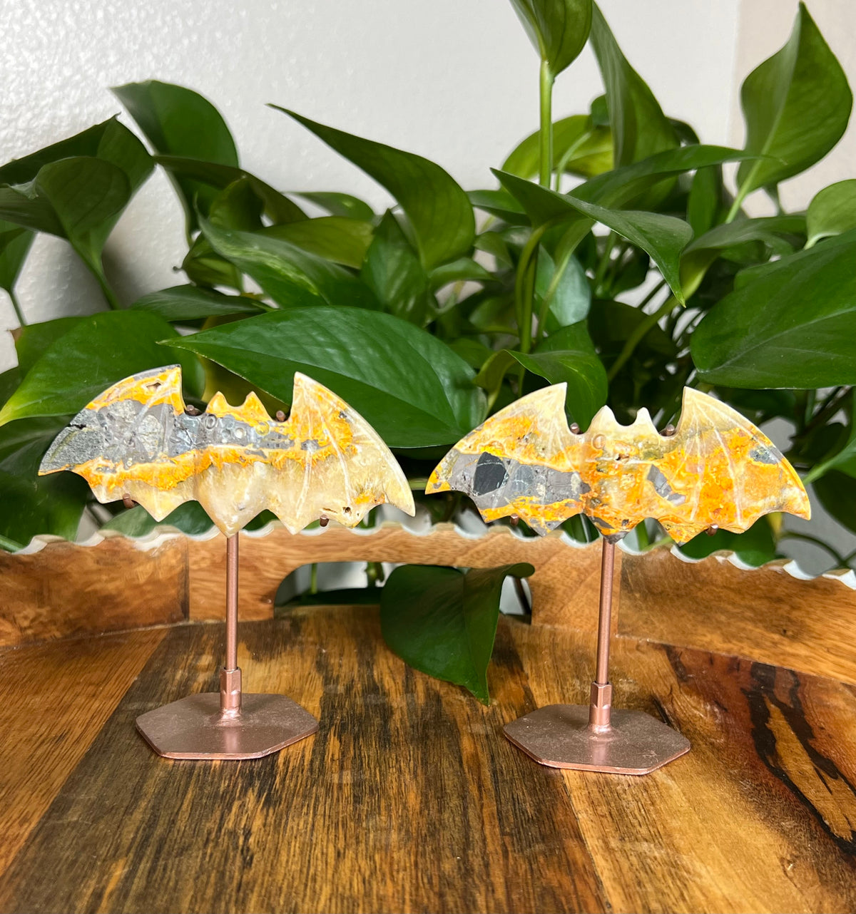Bumblebee Jasper Bats