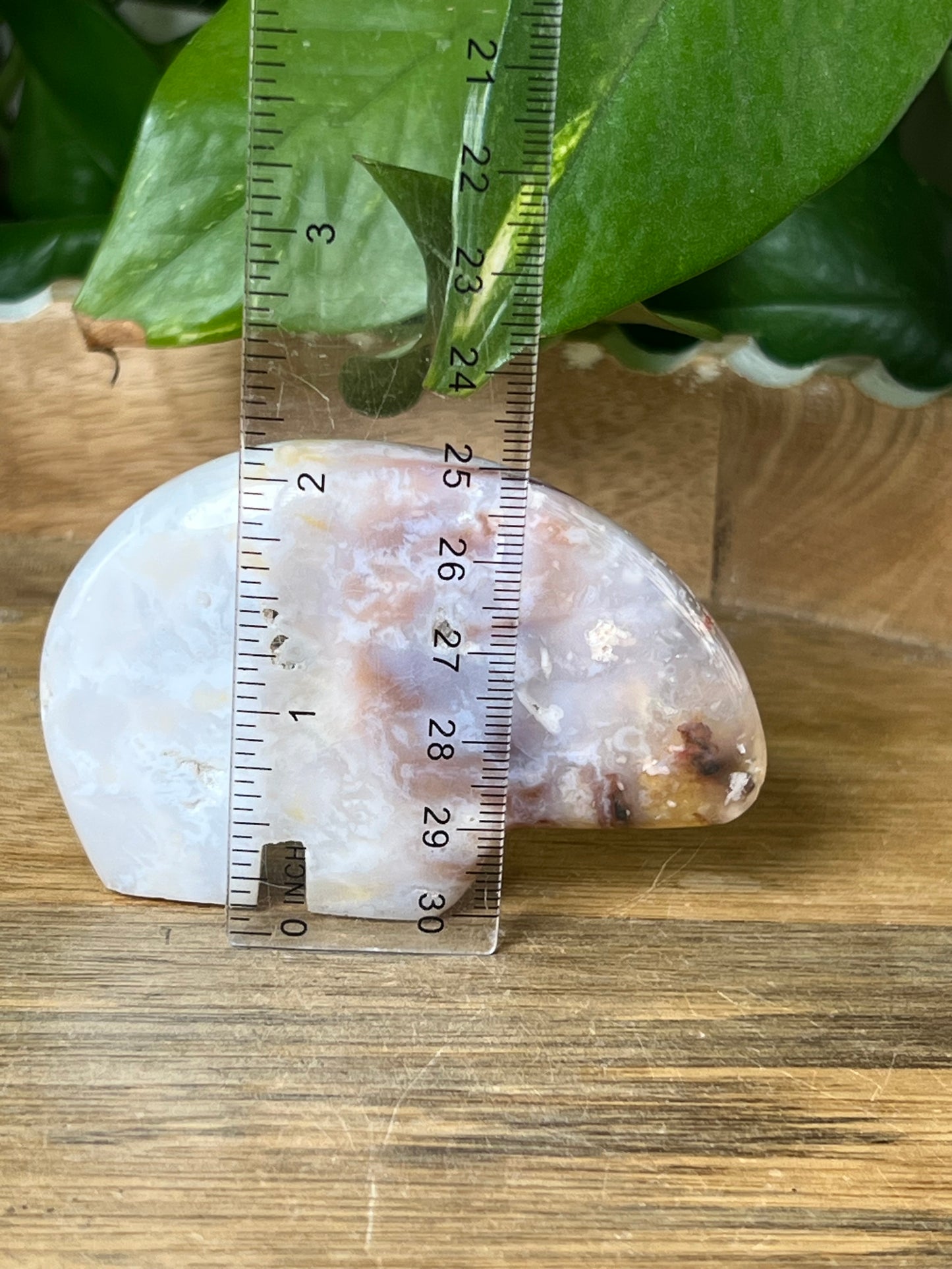 Rainbow Plume Agate Bear