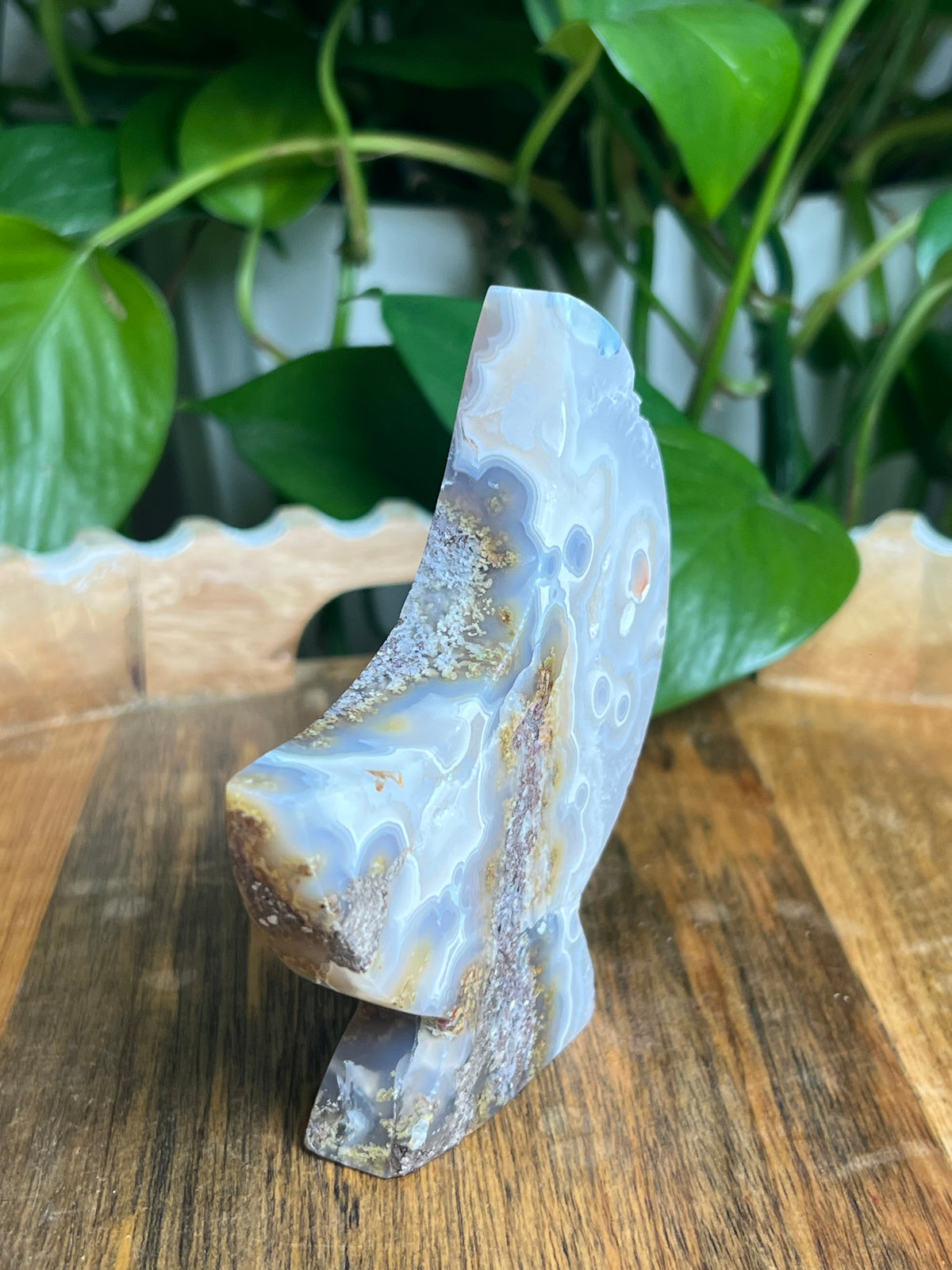 Scenic Moss Agate Self-Standing Moon: PN