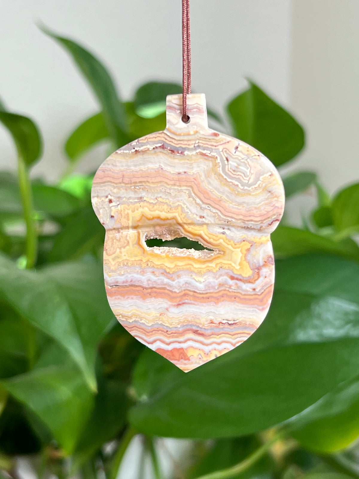 Crazy Lace Agate Acorn Ornaments