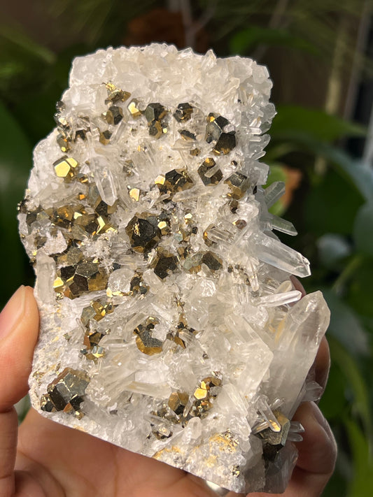Rainbow Pyrite Quartz