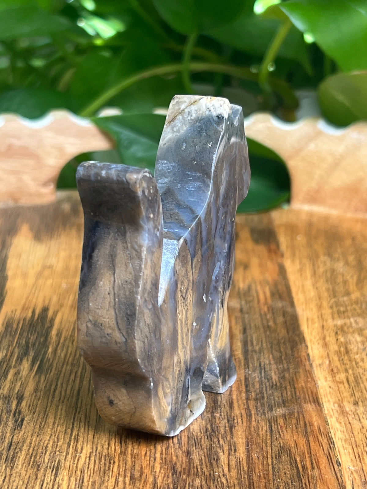 Dendritic Tiger Agate Cat: BG