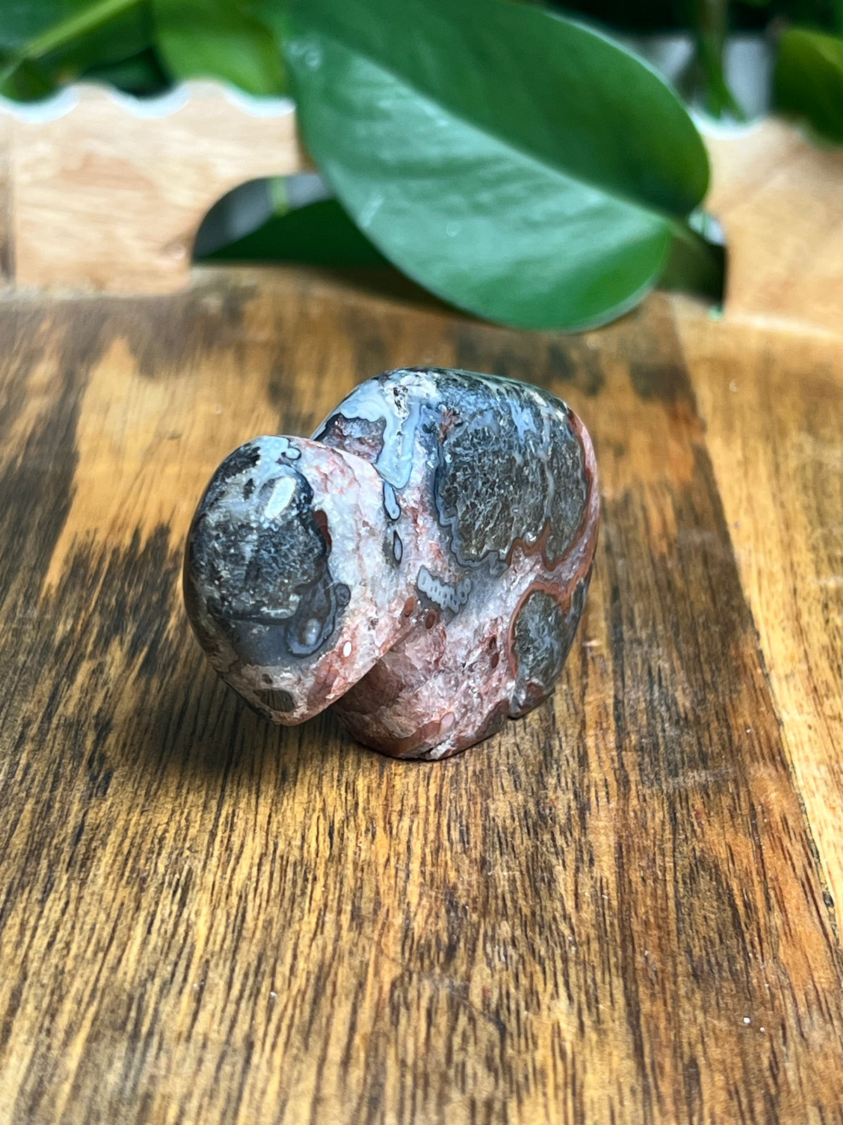 Marcasite Mini Buffalo: ML