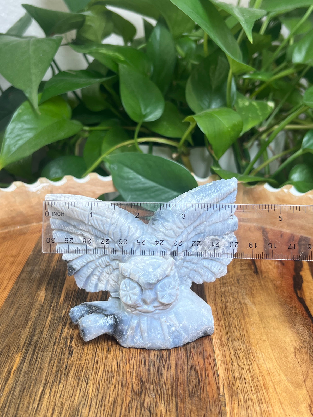 Blue Plume Agate Owl: XX