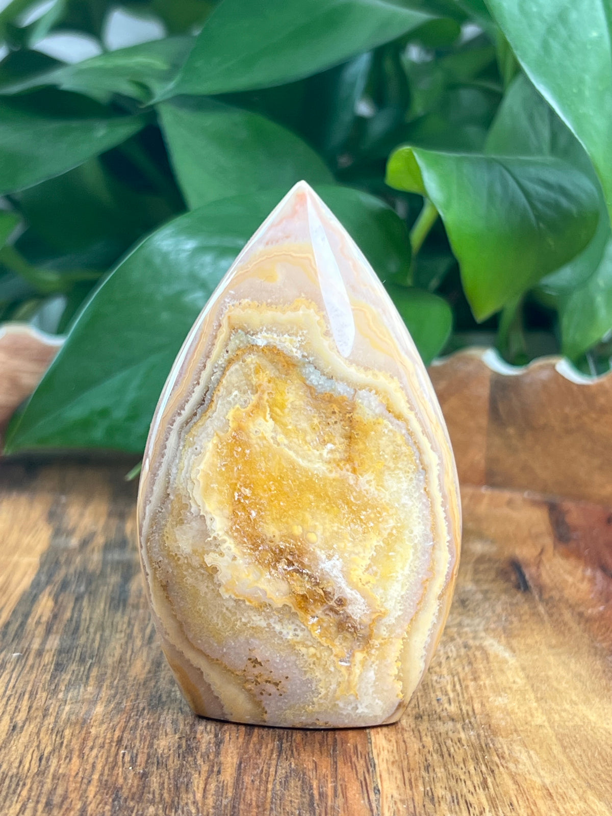 Crazy Lace Agate Flame: BG