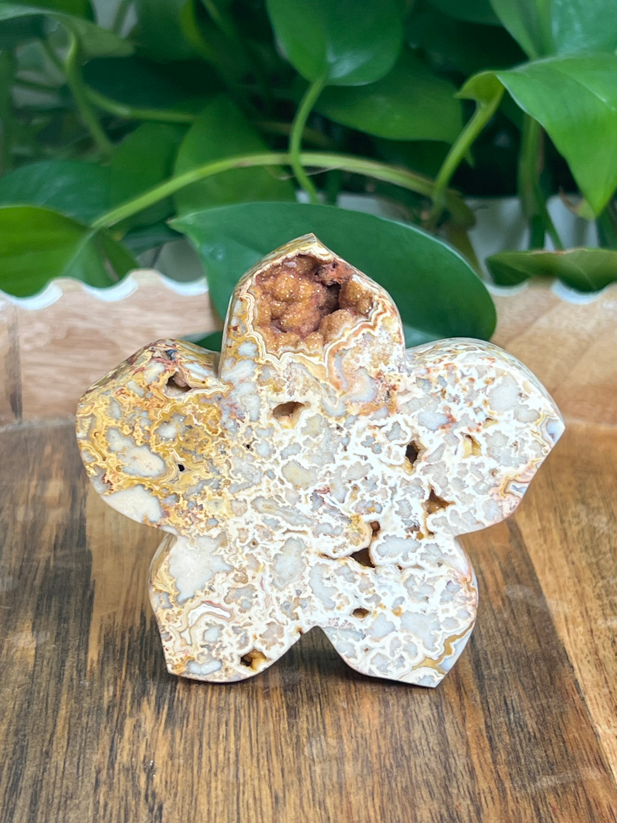 Crazy Lace Agate Flower: Ai