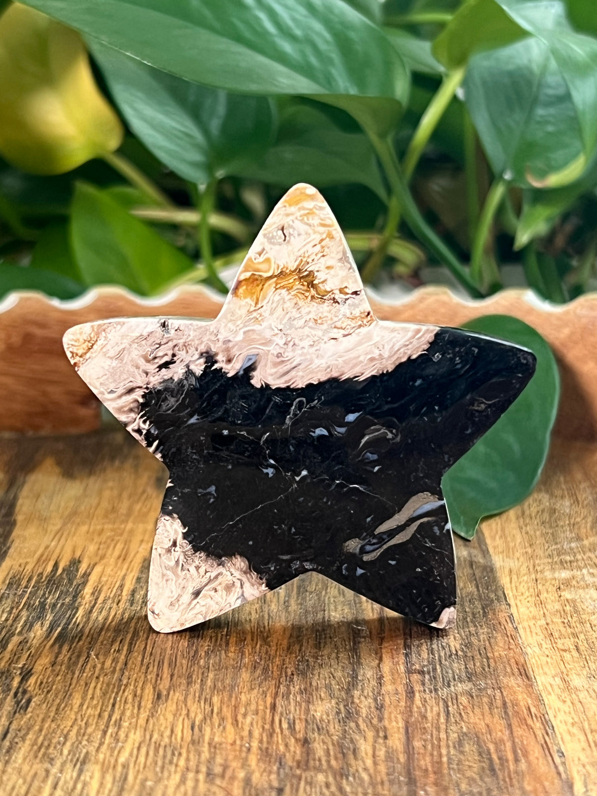 Palm Root Small Self Standing Stars
