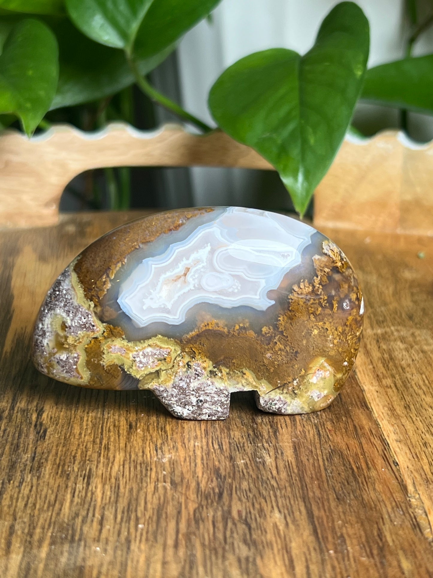 Scenic Moss Agate Bear BH