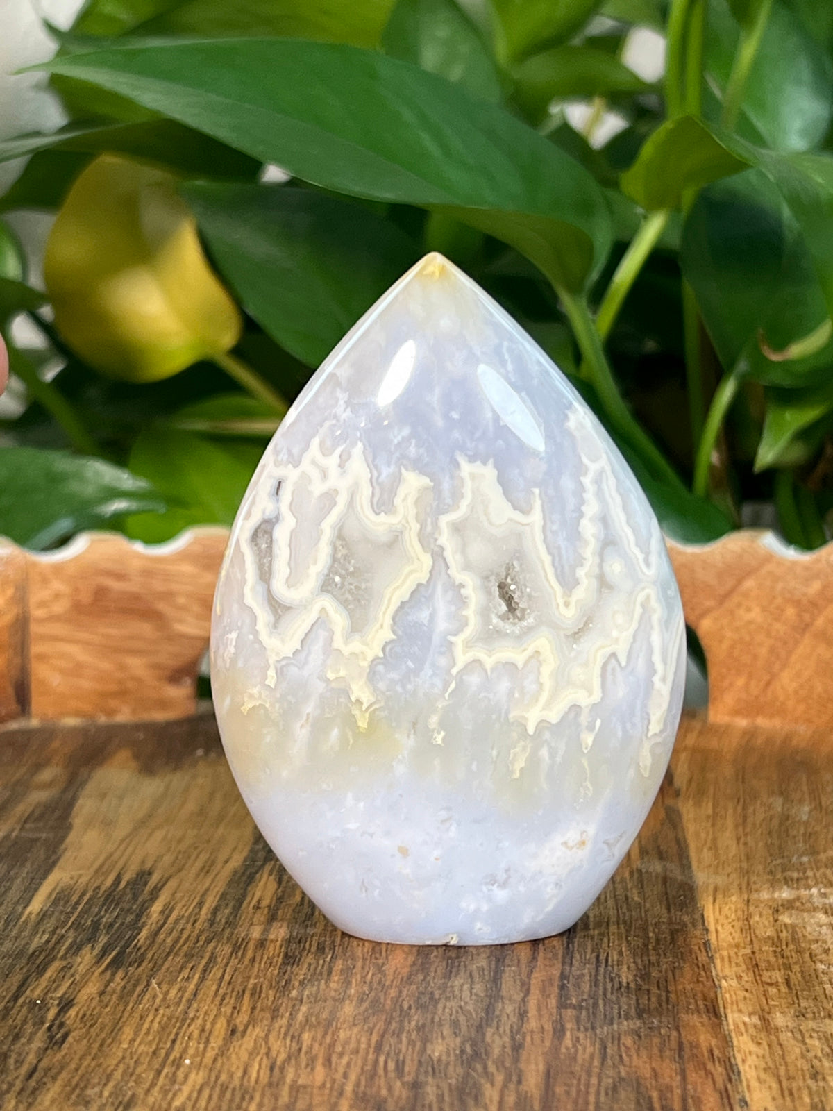 Winter Plume Agate Flames