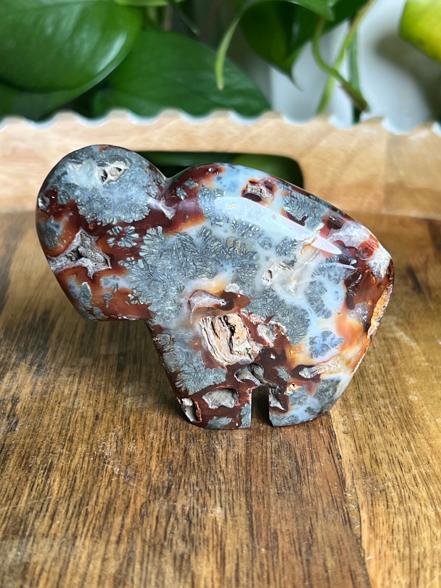 Marcasite Buffalo