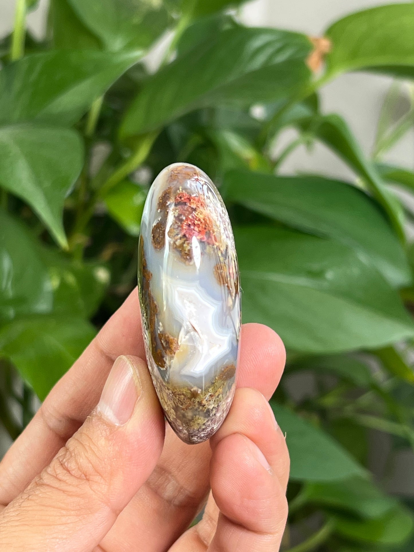 Scenic Moss Agate Palmstone: KA