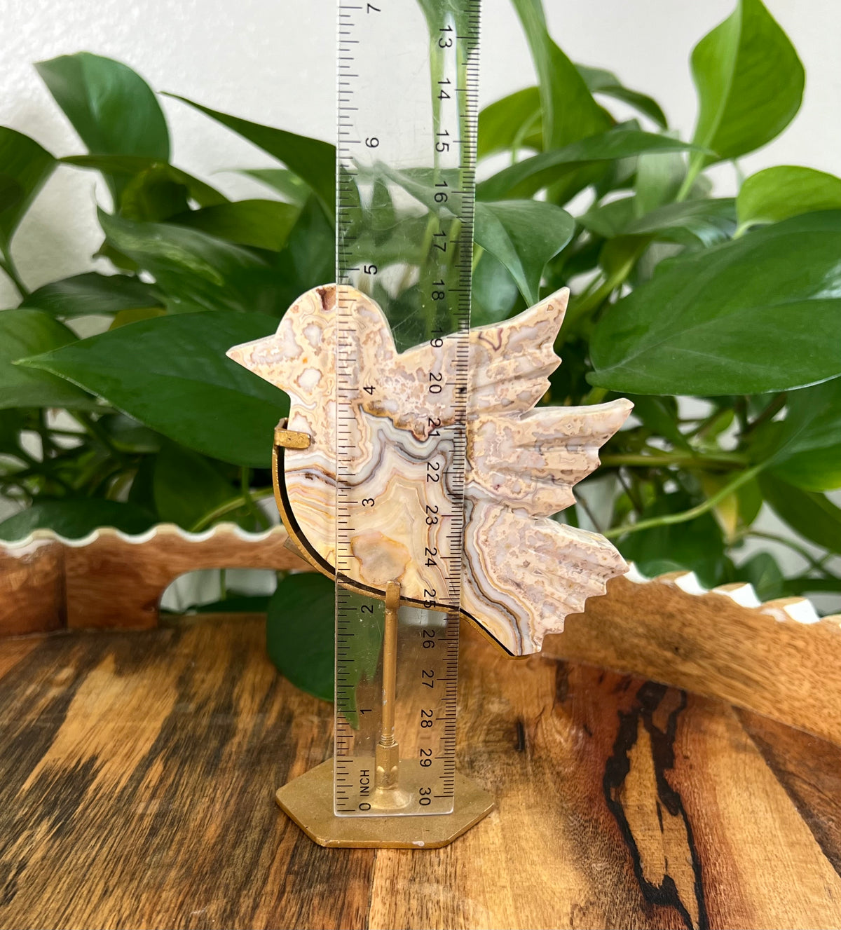Crazy Lace Agate Birds