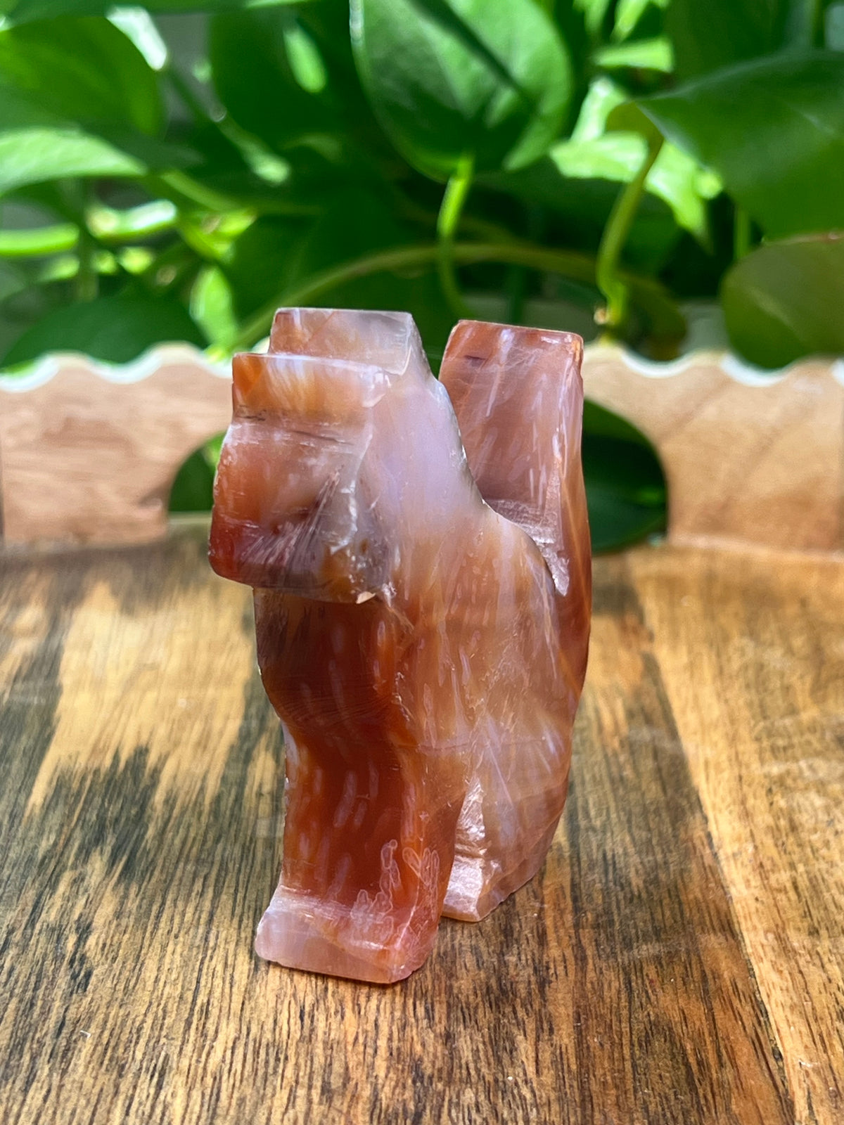 Carnelian Cat: PK