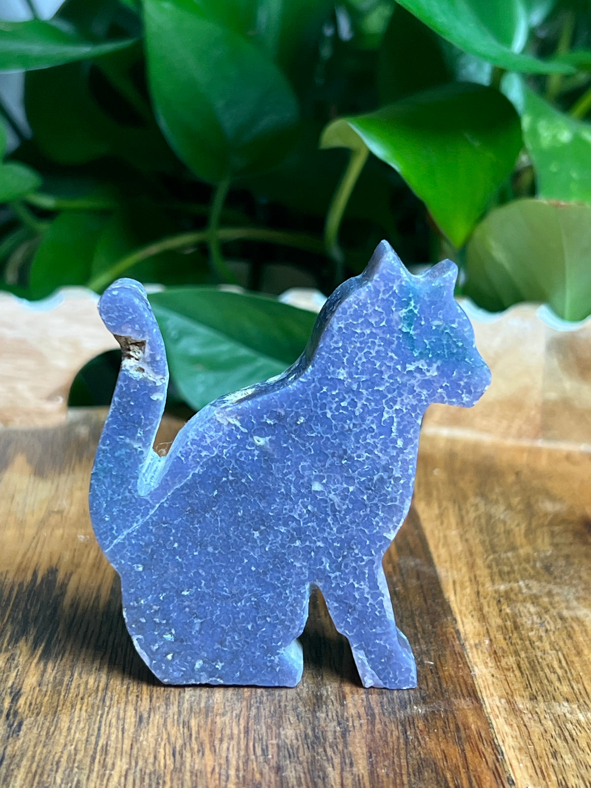 Grape Agate Cat: A