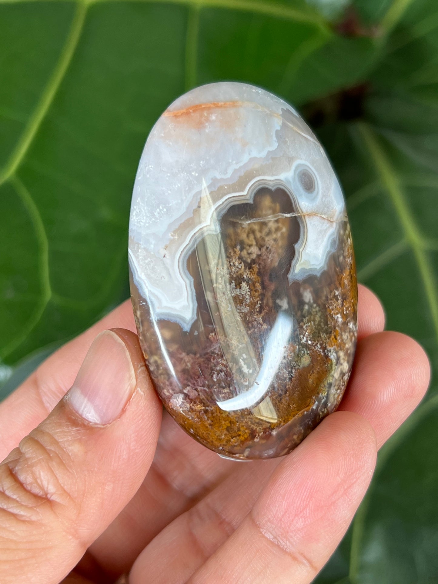 Scenic Moss Agate Palm Stone