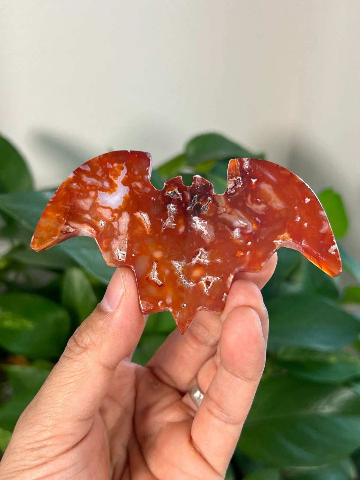 Carnelian 3D Bats