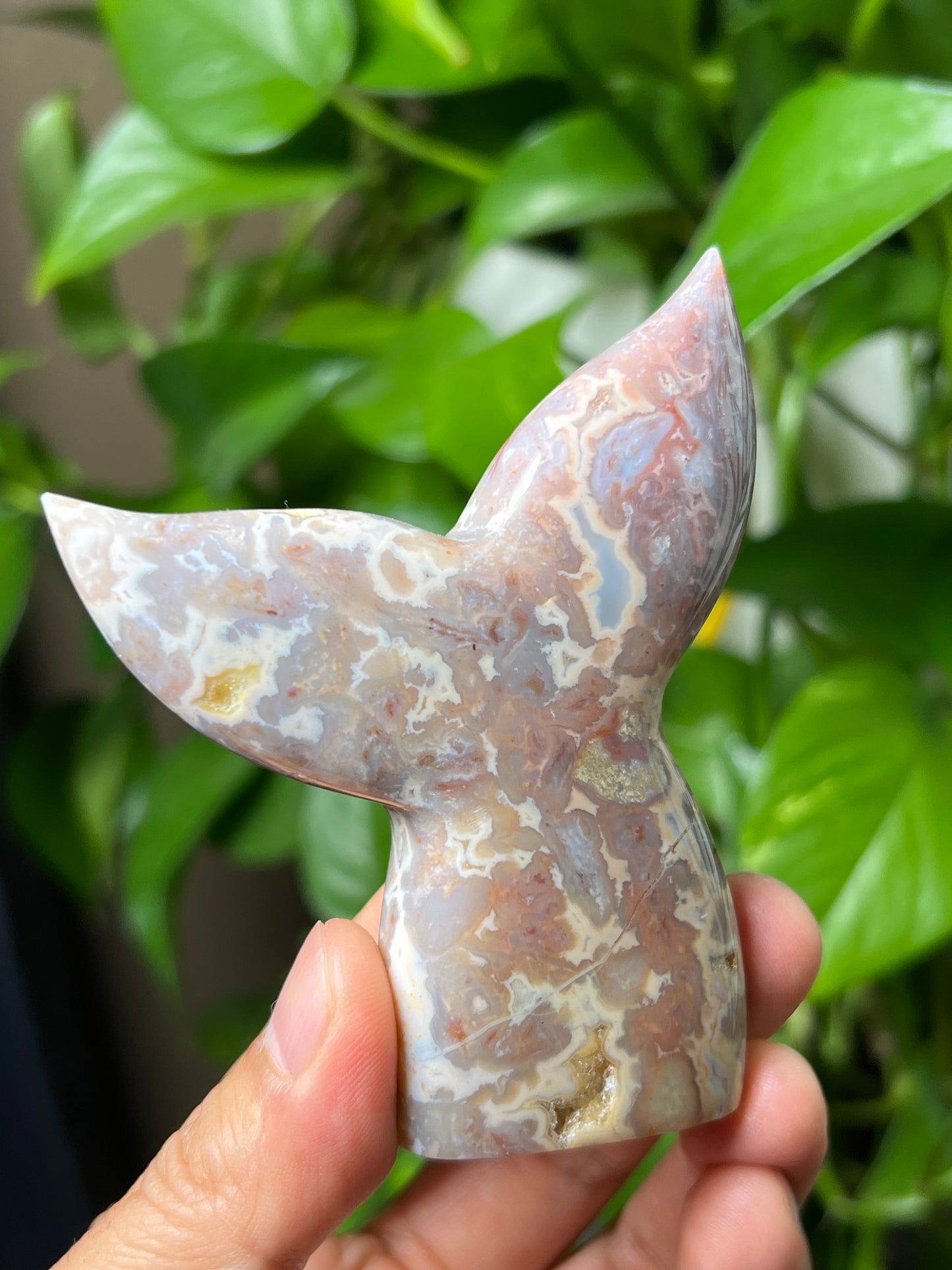 Sumatra Plume Agate Tail