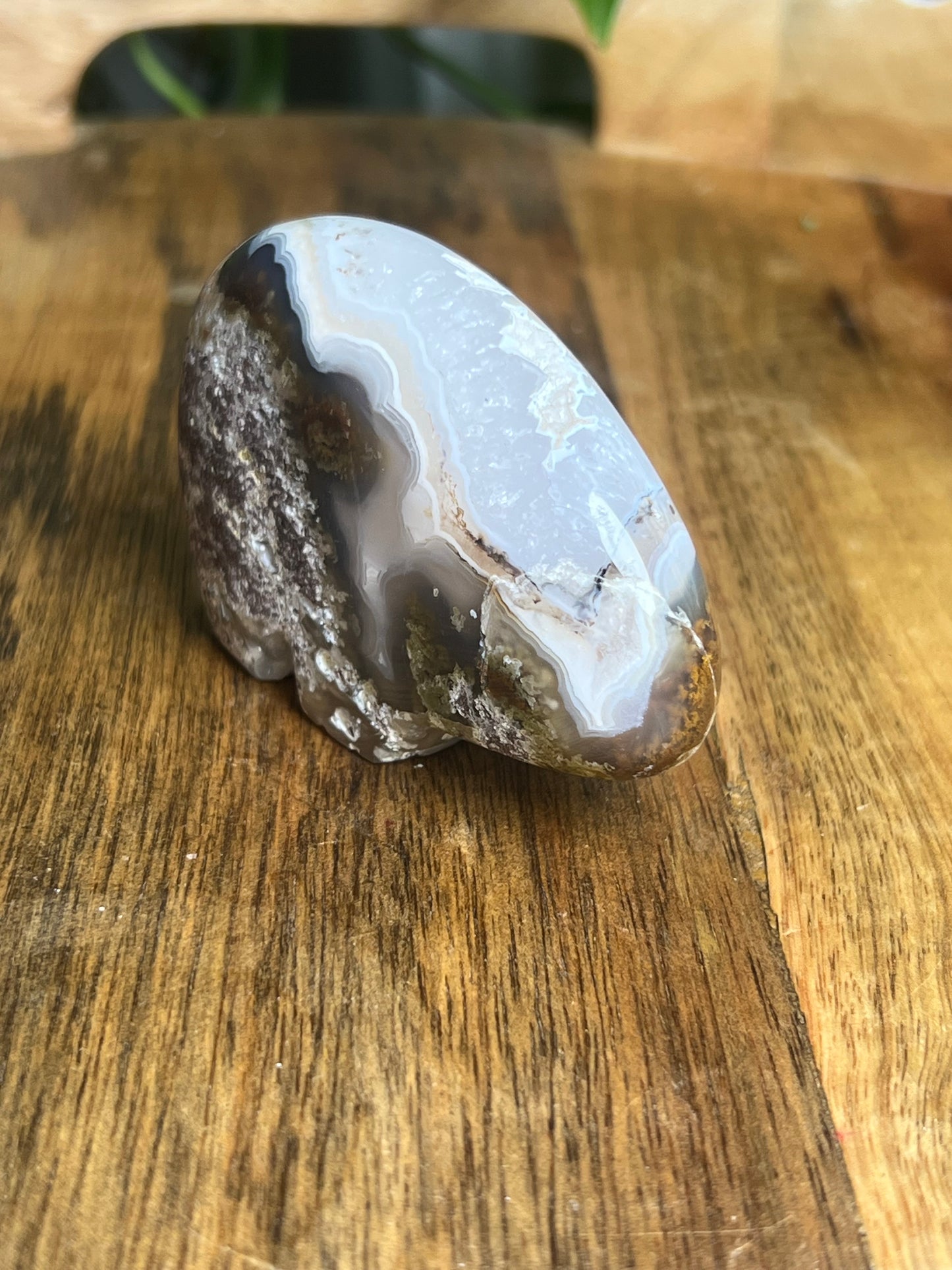 Scenic Moss Agate Bear BQ