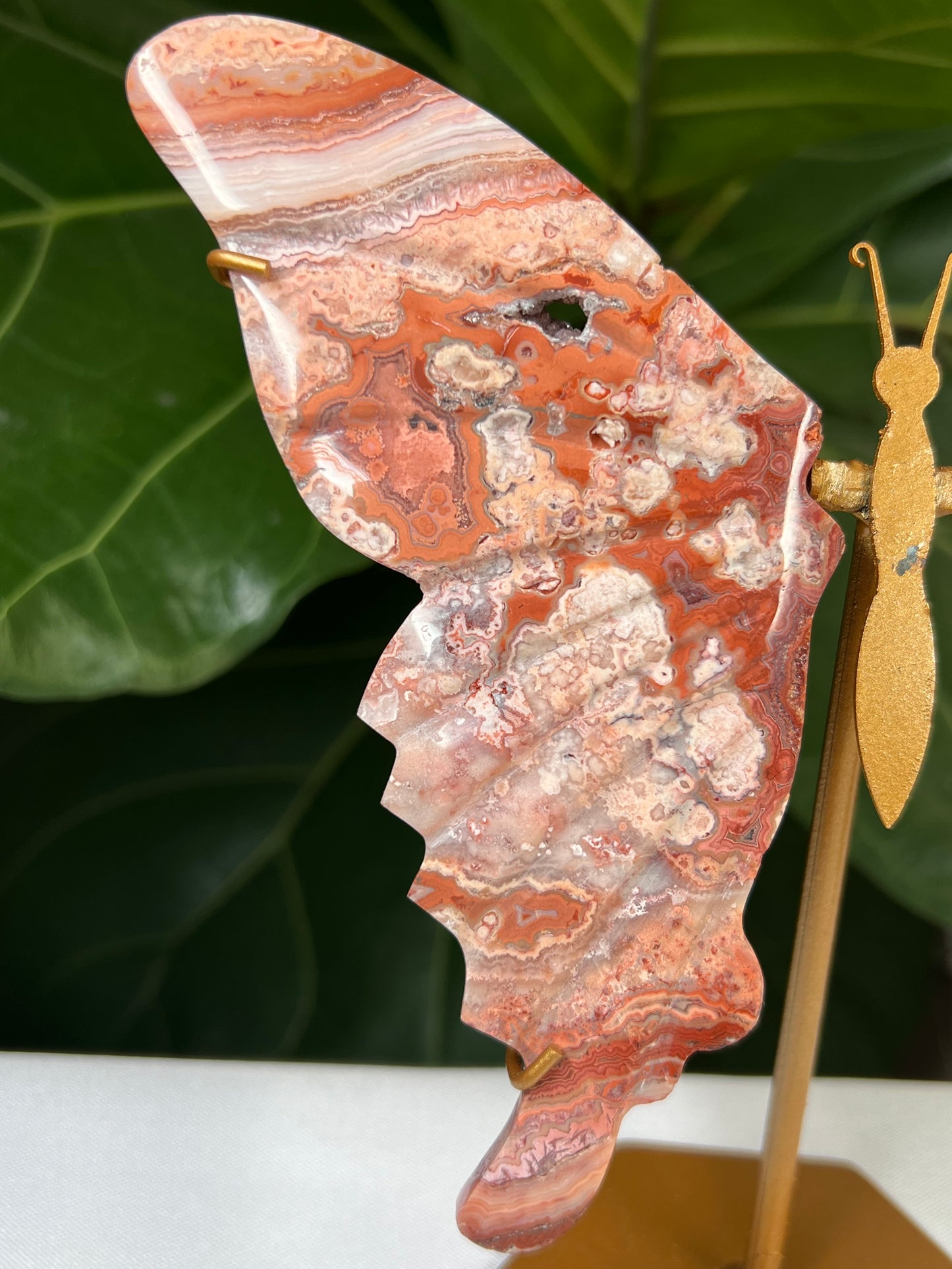 Crazy Lace Agate Wings