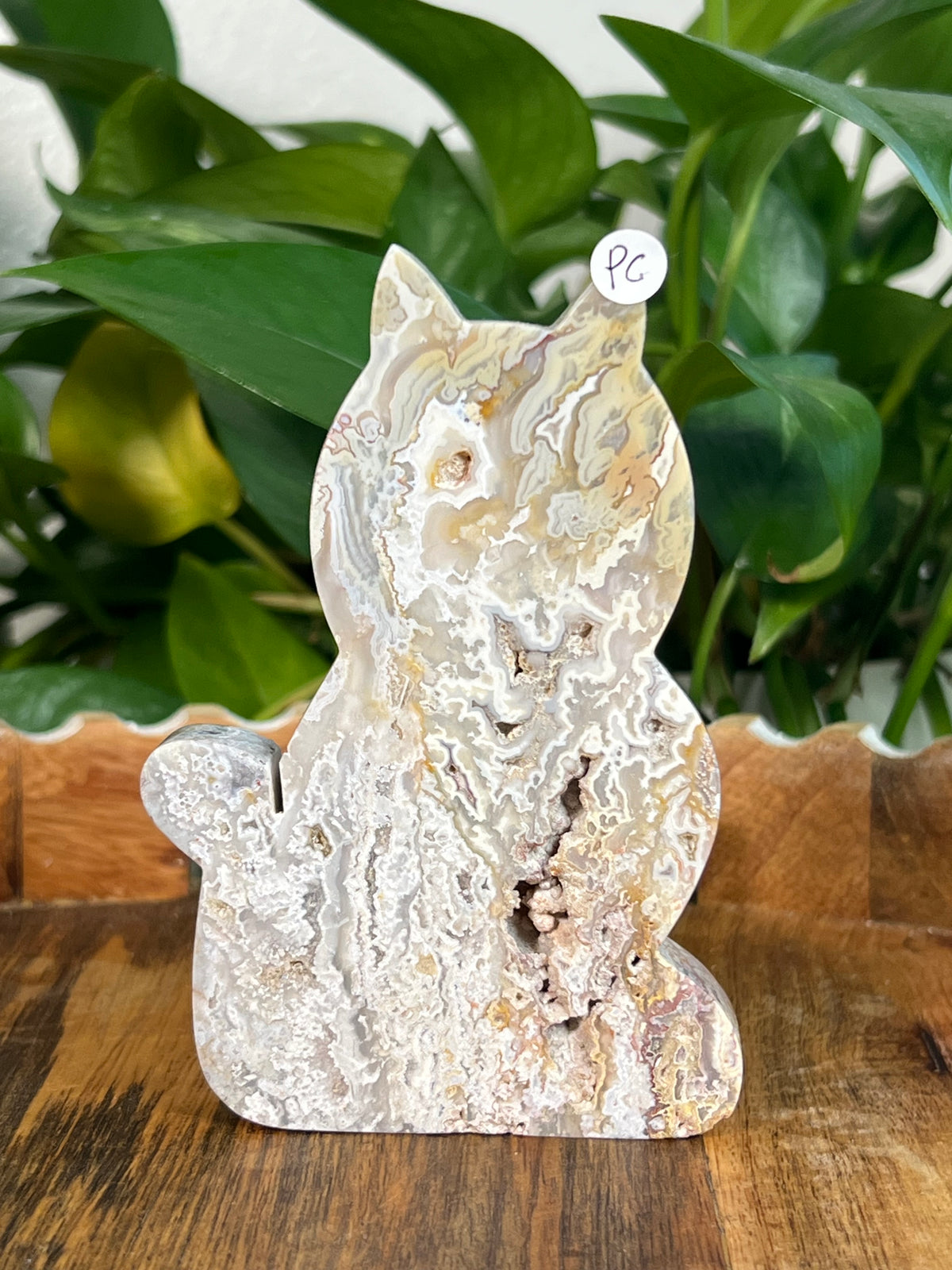 Sumatra Plume Agate Cats
