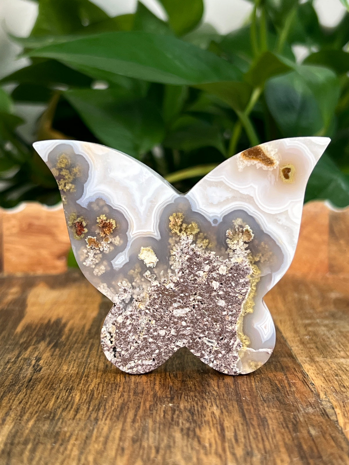 Scenic Moss Agate Butterflies