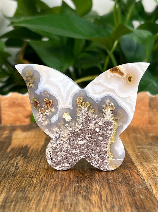 Scenic Moss Agate Butterflies